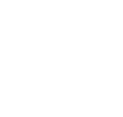 icon1